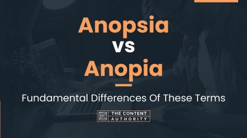 Anopsia vs Anopia: Fundamental Differences Of These Terms