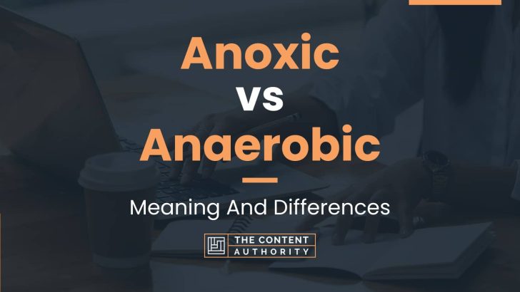 Anoxic vs Anaerobic: Meaning And Differences