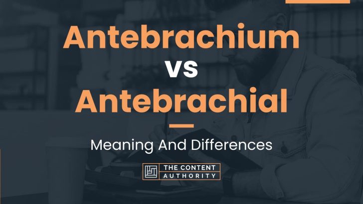 Antebrachium vs Antebrachial: Meaning And Differences