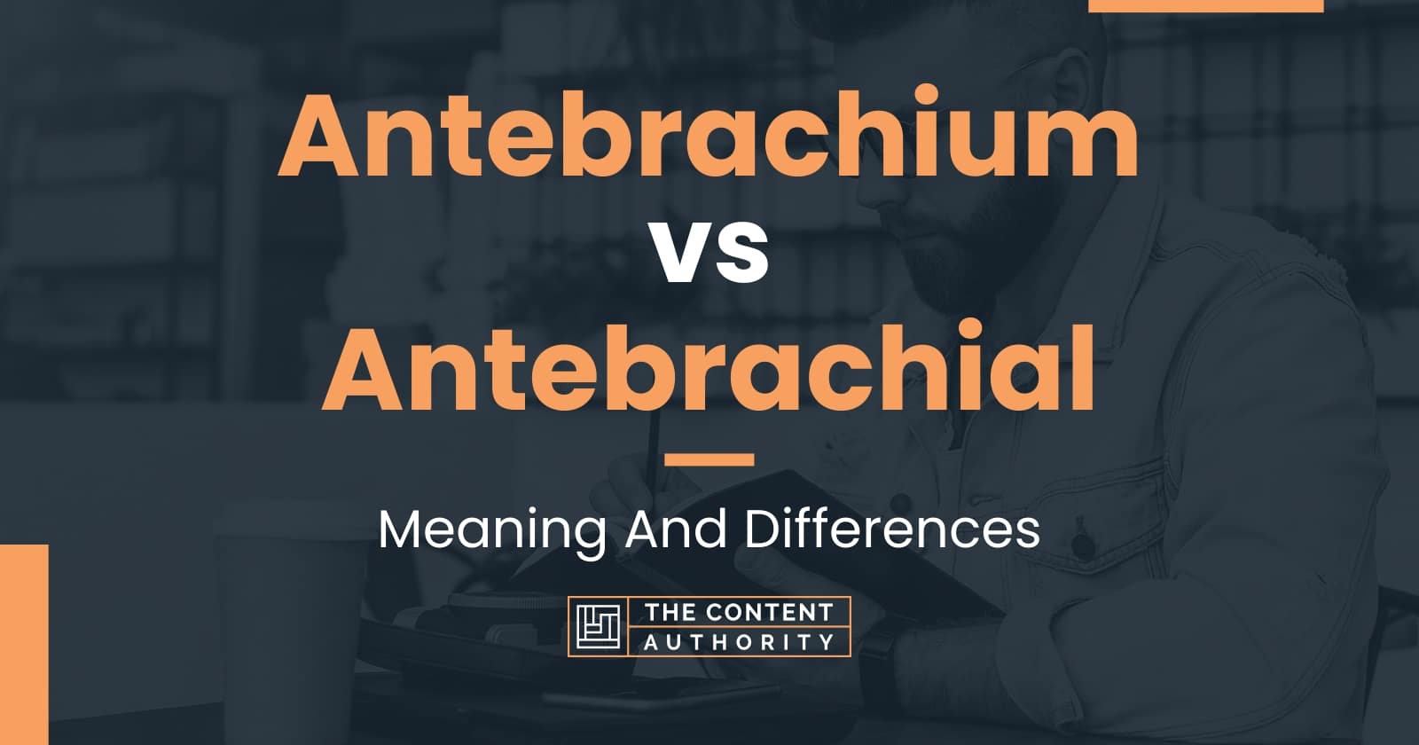 Antebrachium vs Antebrachial: Meaning And Differences