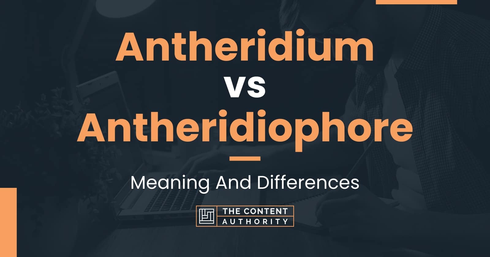 antheridium-vs-antheridiophore-meaning-and-differences