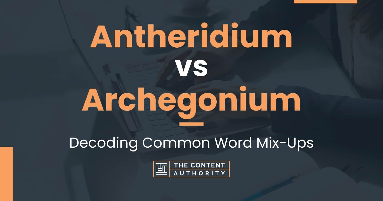 Antheridium vs Archegonium: Decoding Common Word Mix-Ups