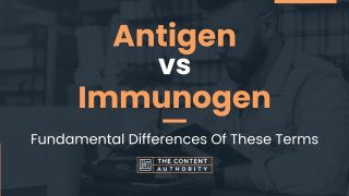 Antigen vs Immunogen: Fundamental Differences Of These Terms