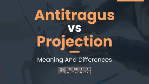 Antitragus vs Projection: Meaning And Differences