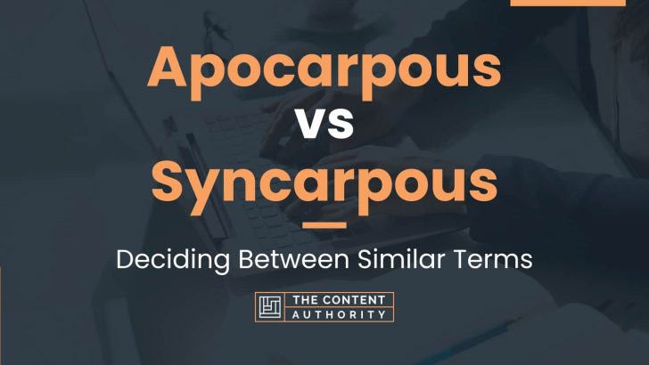 Apocarpous vs Syncarpous: Deciding Between Similar Terms