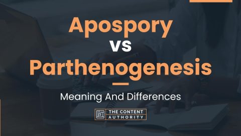 Apospory vs Parthenogenesis: Meaning And Differences