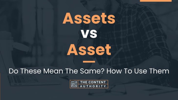 Assets vs Asset: Do These Mean The Same? How To Use Them