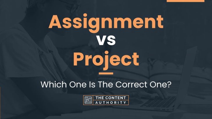 what's the difference between assignment and project