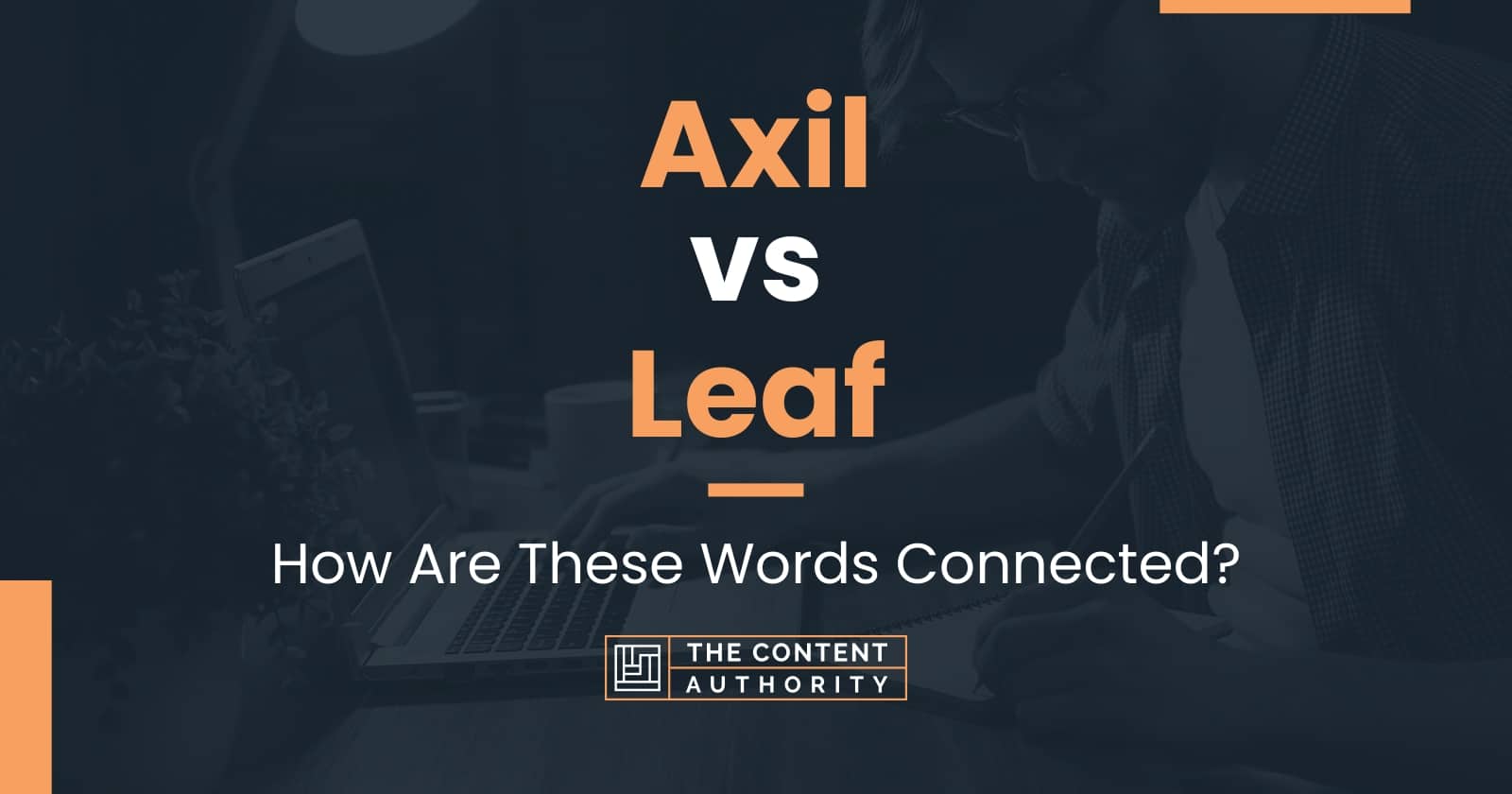 Axil vs Leaf: How Are These Words Connected?