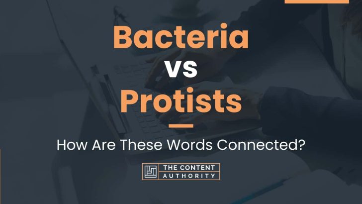 Bacteria vs Protists: How Are These Words Connected?