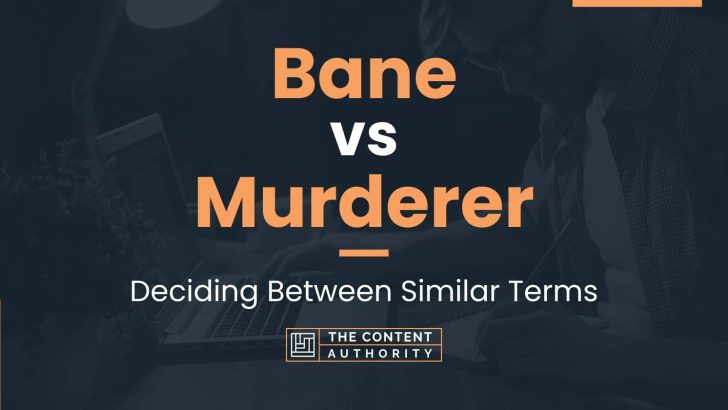 bane-vs-murderer-deciding-between-similar-terms