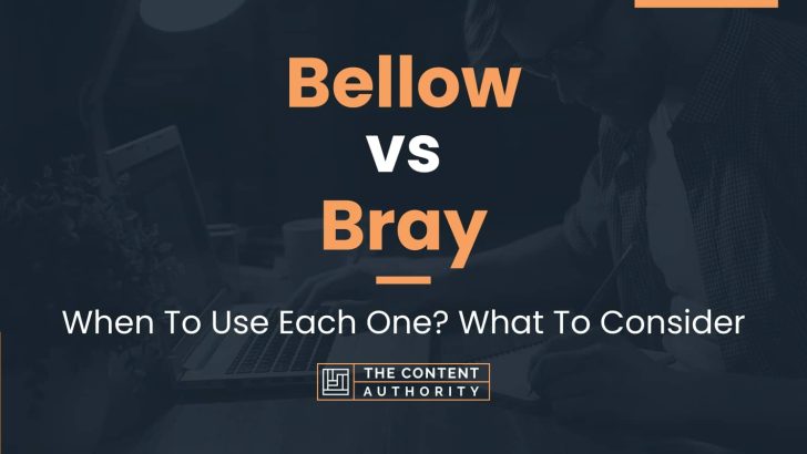 Bellow vs Bray: When To Use Each One? What To Consider