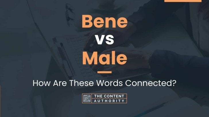 bene-vs-male-how-are-these-words-connected