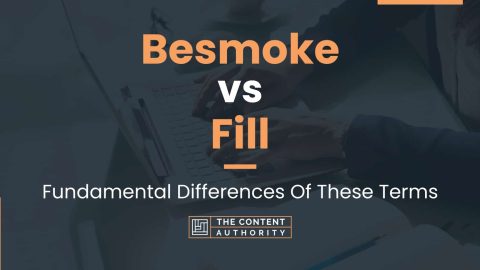 Besmoke Vs Fill: Fundamental Differences Of These Terms