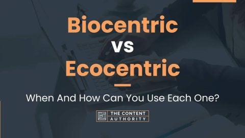 Biocentric vs Ecocentric: When And How Can You Use Each One?