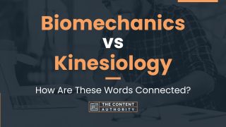 Biomechanics Vs Kinesiology: How Are These Words Connected?