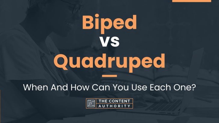 Biped vs Quadruped: When And How Can You Use Each One?