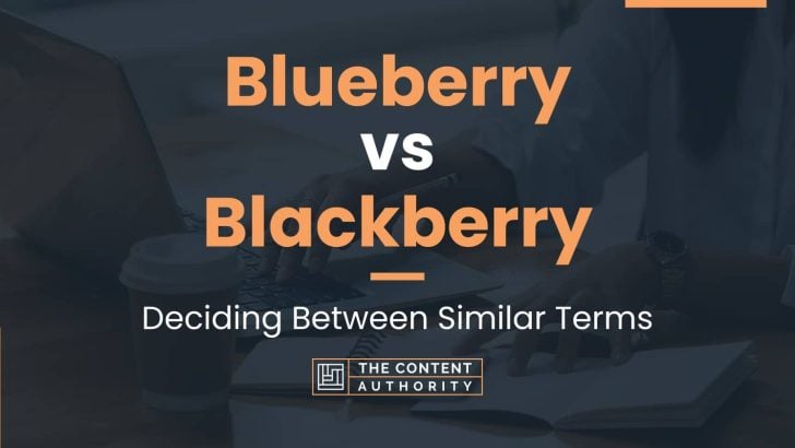 Blueberry vs Blackberry: Deciding Between Similar Terms