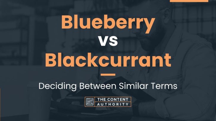 Blueberry vs Blackcurrant: Deciding Between Similar Terms