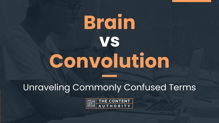 Brain vs Convolution: Unraveling Commonly Confused Terms