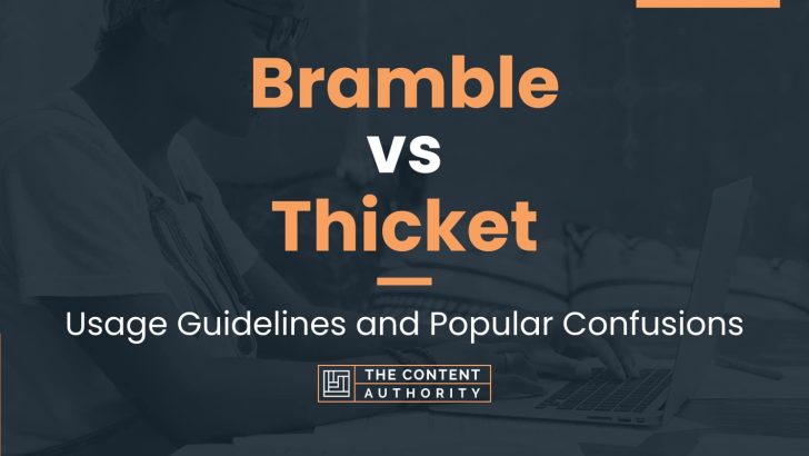 Bramble vs Thicket: Usage Guidelines and Popular Confusions