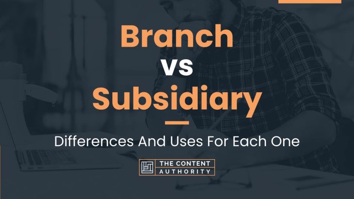 Branch vs Subsidiary: Differences And Uses For Each One