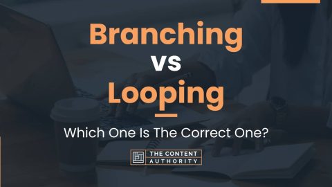 Branching vs Looping: Which One Is The Correct One?