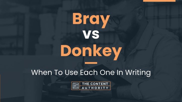 Bray vs Donkey: When To Use Each One In Writing