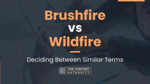 Brushfire vs Wildfire: Deciding Between Similar Terms