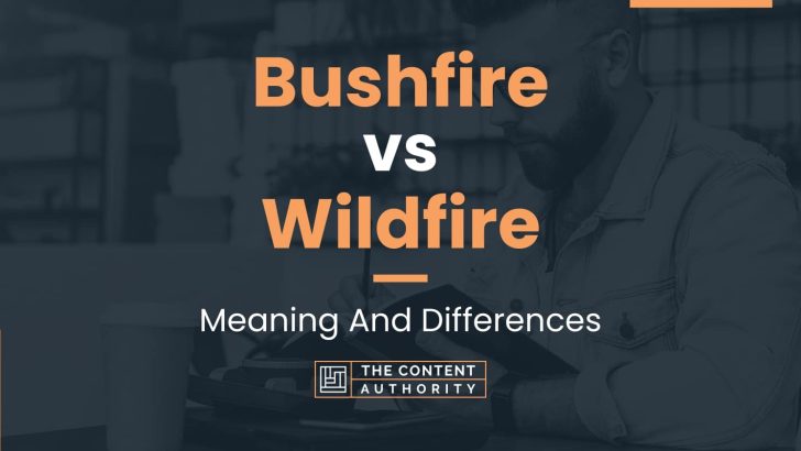 Bushfire vs Wildfire: Meaning And Differences