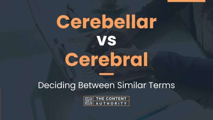 Cerebellar vs Cerebral: Deciding Between Similar Terms