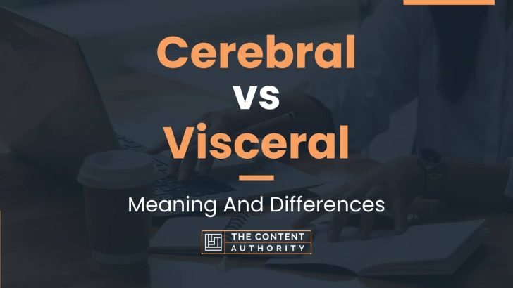 Cerebral vs Visceral: Meaning And Differences