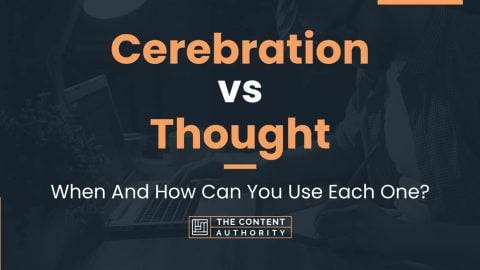 Cerebration vs Thought: When And How Can You Use Each One?