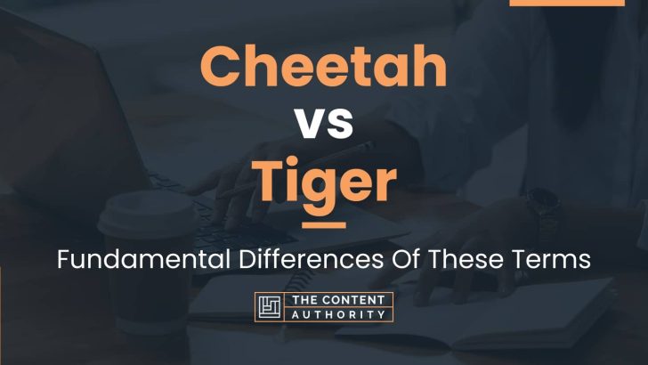 Cheetah vs Tiger: Fundamental Differences Of These Terms