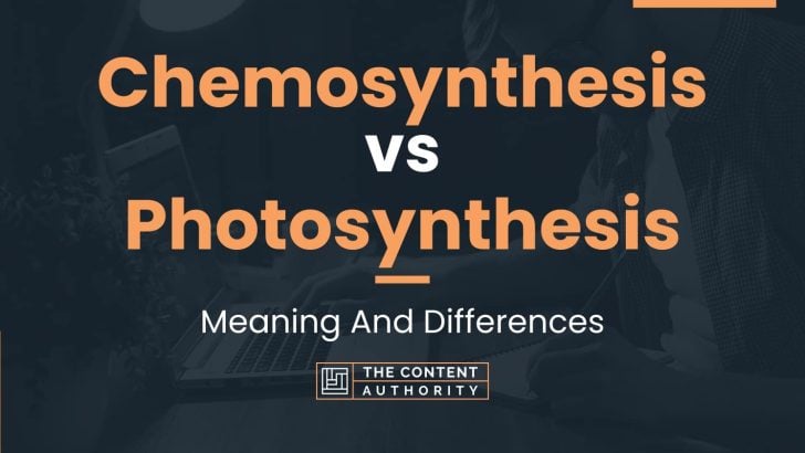 Chemosynthesis vs Photosynthesis: Meaning And Differences