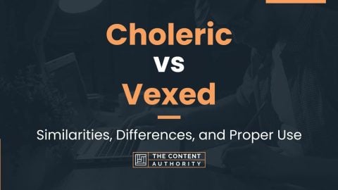 Choleric vs Vexed: Similarities, Differences, and Proper Use