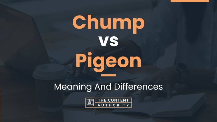 Chump vs Pigeon: Meaning And Differences