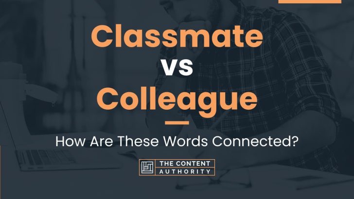 Classmate vs Colleague: How Are These Words Connected?