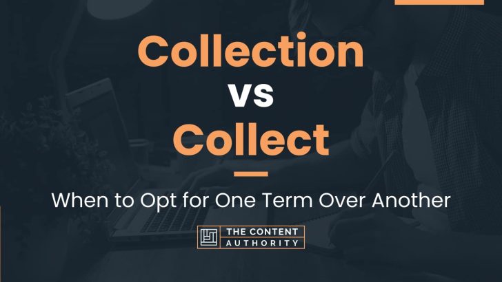 Collection vs Collect: When to Opt for One Term Over Another