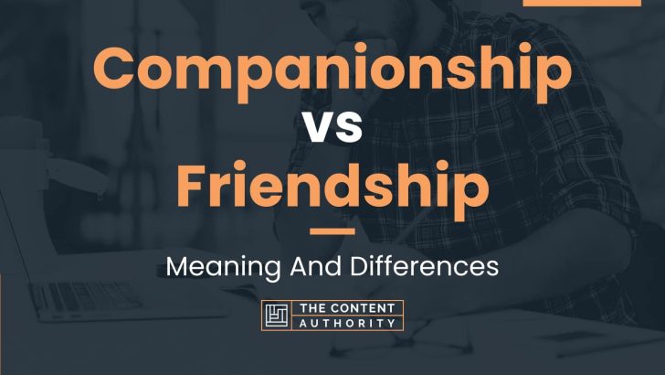 Companionship vs Friendship: Meaning And Differences