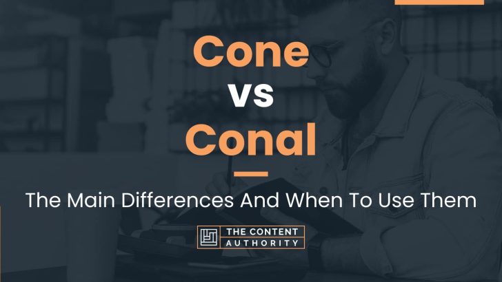 Cone vs Conal: The Main Differences And When To Use Them