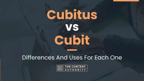 Cubitus vs Cubit: Differences And Uses For Each One