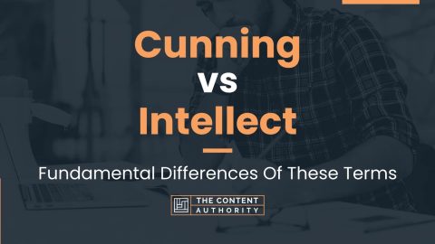 Cunning vs Intellect: Fundamental Differences Of These Terms