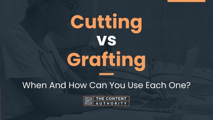 Cutting vs Grafting: When And How Can You Use Each One?