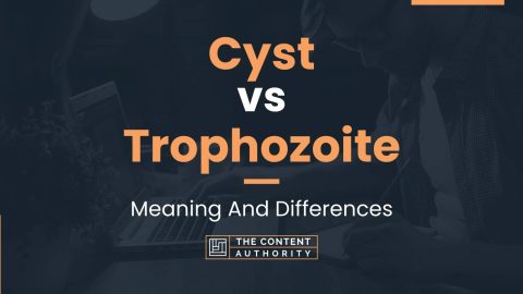 Cyst vs Trophozoite: Meaning And Differences