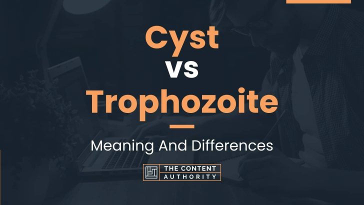 Cyst Vs Trophozoite Meaning And Differences 8146