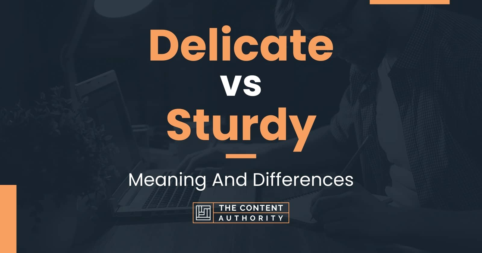 delicate-vs-sturdy-meaning-and-differences