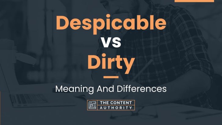 despicable-vs-dirty-meaning-and-differences