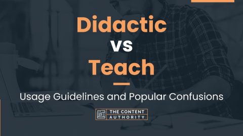 Didactic vs Teach: Usage Guidelines and Popular Confusions