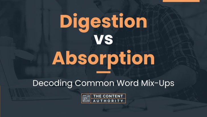 Digestion vs Absorption: Decoding Common Word Mix-Ups